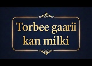 Torbee Gaarii Qabadha