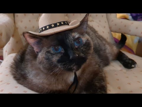 Meinungsstarke Cowgirl