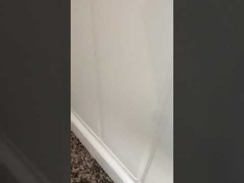 Tapping Sound In Wall