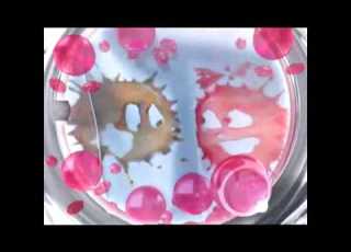  OXI ENZYMES اوي بالانزيمات الذكية