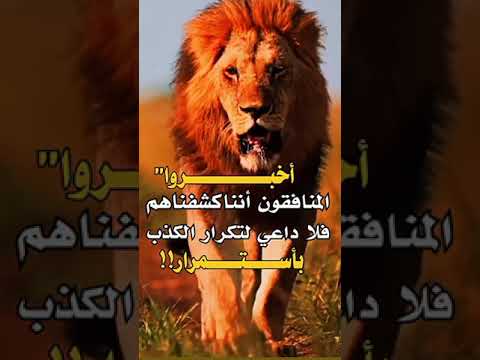 حكمة اليوم عن المنافقين