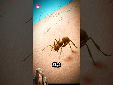 لماذا نشعر بألم شديد من قرصة النمله