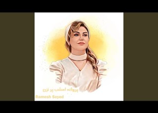 پروانه امشب پر نزن