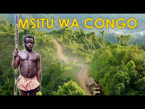 NIMESHAANGAA KUJUA MAMBO HAYA YA AJABU KUHUSU MSITU HUU VIUMBE NA BINADAMU WANAISHI