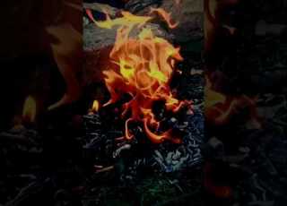 أوجعيني يا جراحي بدون موسيقى تصويري بدون موسيقى Shorts Trending تصويري