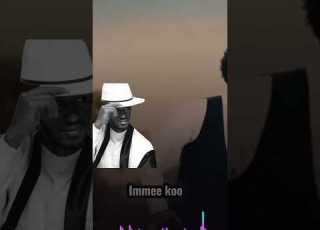 Gulumaa Dajanee New Music Kenbon Shorts Music