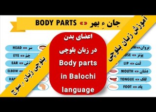بلوچی زبان ء سوج آموزش زبان بلوچی جان ء بهر اعضای بدن به زبان بلوچی Body Parts In Baloch