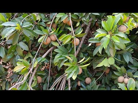 Welcome To My Live Streaming 23032026