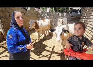  Earning A Living Sakineh S Life Of Ups And Downs