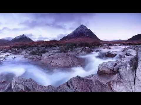 وداود وسليمان إذ يحكمان في الحرث