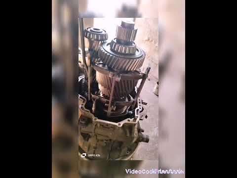 معلومه عن الفتيس الاكترس 211