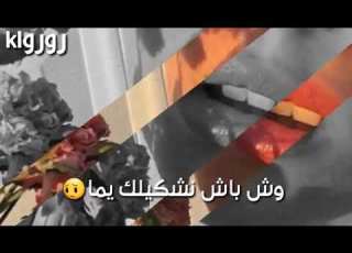  يحبو يقصولي جناحي