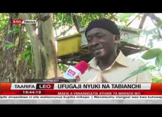  Ufugaji Nyuki Na Tabianchi Makala Yanaangazia Athari Za Mabadiliko Kwa Ufugaji Nyuki