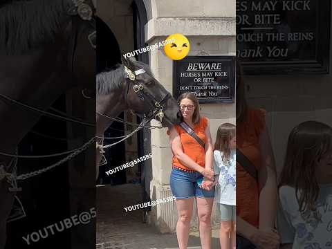 Unexpected Connection Majestic Horse Returns Woman S Affection With Equal Love Horse Guards