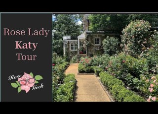 Rose Katy Garden Tour Magnificent Climbing Roses 7b