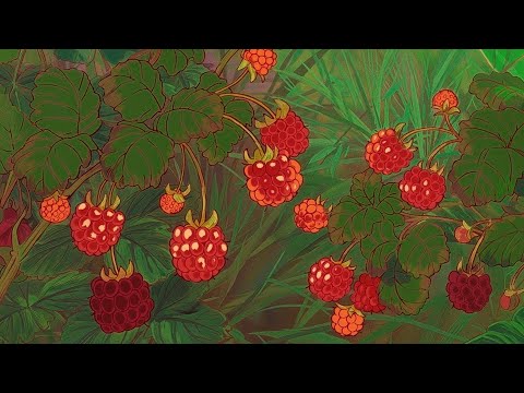 You Re In A Vintage Disney Cartoon Dreamy Strings Classical Music To Relax You Re In A Vintage Disney Cartoon Dreamy Strings Classical Music To Relax