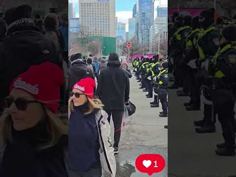 قیافه این حامیان جمهوری اسهالی شبیه میمون میمونه قیافه این حامیان جمهوری اسهالی شبیه میمون میمونه