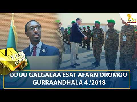 ESAT ODUU 11 FEBRUARY 2026