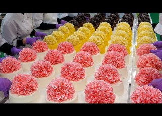  Colorful And Pretty Cake Dessert Mass Production BEST 5 Cake Dessert Factory