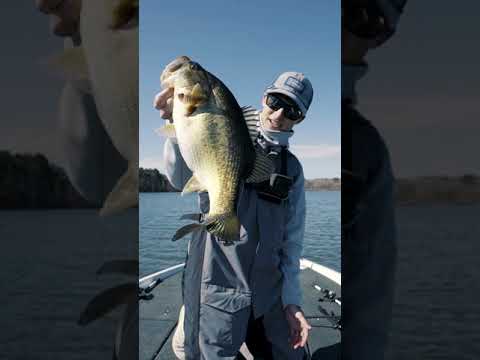 WIE MAN JERKBAITS FISCHET