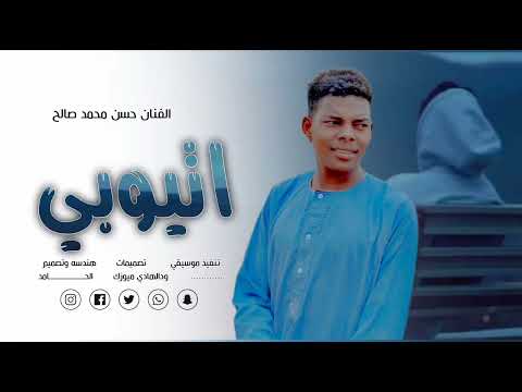 الفنان حسن محمد صالح هندسه وتصميم الدار حامدي