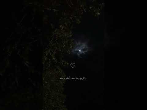 اليسا انت اول حب بدون موسيقى