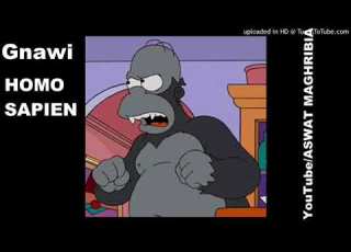 STATUT WHATSAPP RAP 2021 GNAWI HOMO SAPIEN