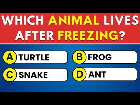 Your IQ Is Impressive If You Get 30 50 Question General Knowledge Trivia Quiz