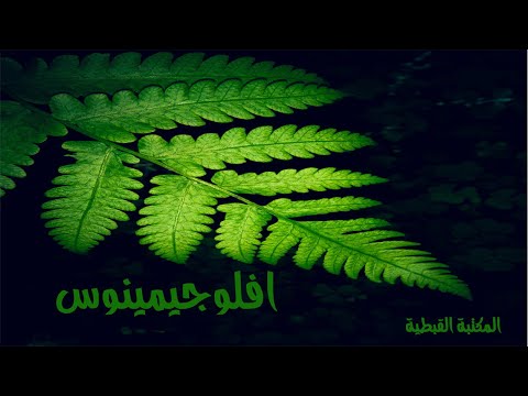 لحن إفلوجيمينوس القس فيلوباتير كمال