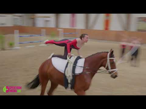 Voltigierturnier WBO 2025