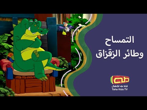 التمساح وطائر الزقزاق