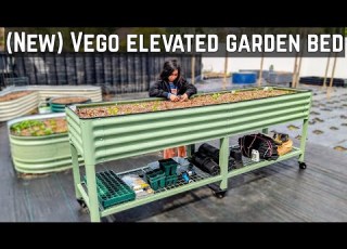  Vego Garden Elevated Bed With Wheels Honestreview Vego Vegogarden