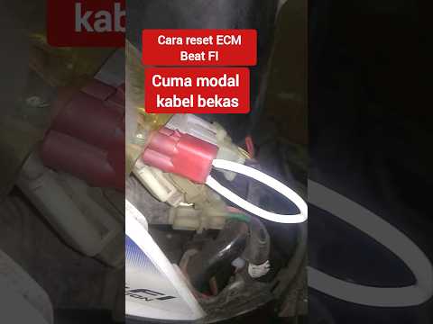 Manually Reset The Beat Fi ECU ECM Using A Cable Signs Of A Successful Reset