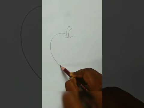 How To Draw Apple Step By Step Very Easy Easy Apple Drawing Shorts Mahabubaarts How To Draw Apple Step By Step Very Easy Easy Apple Drawing Shorts Mahabubaarts