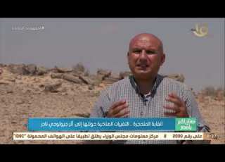 صباح الخير يا مصر الغابات المتحجرة التغيرات المناخية حولتها إلى أثر جيولوجي نادر