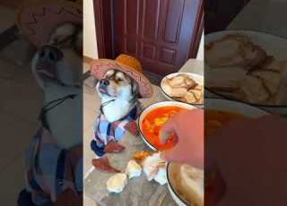 Unlock The Secret Art Of Kugen Kuaizi Unbeatable Skills For Immersive Dining