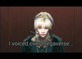 So I Voiced Over Stray Kids Megaverse