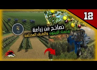  نصائح و طريقة زرع و حصاد الزيتون بطرق مختلفة بالموسم Farmingsimulator22 سلسة محاكي الزراعة 12