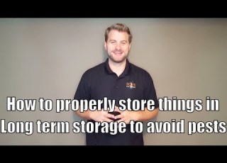  How To Properly Store Things In Long Term Storage To Avoid Pests