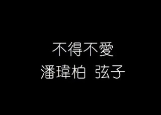  潘瑋柏 弦子 不得不愛 無損音樂FLAC 歌詞LYRICS 純享