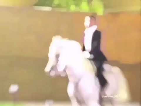 انا فارس ومعرب ساس الفرس بهاج الاكلبي ليك متابعة