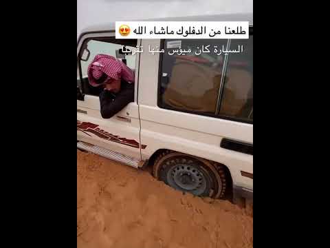 تجربة دفلك في ربع ۲۰۲۳