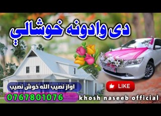 مسته ترانه دی ودونه خوشالی ده د واده باره کی نوی نظم اواز نصیب الله خوش نصیب
