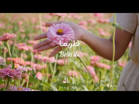 Maryam Shehab فلربما Belki De Türkçe Çeviri