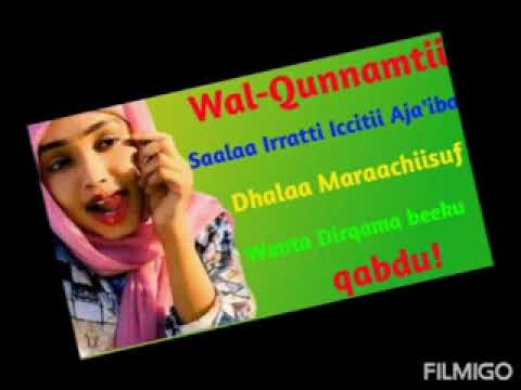 Walqunnamtii Saalaa Yemmuu Raawwattu Akka Itti Dubartii Gammachiistu