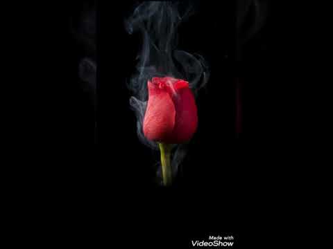 ليش من دون البشر حبيتك مع الشعر