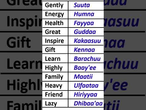 English Oromo Tik Tok Education Marakienglish Beekaa English English Afaan Oromo Oromolanguage