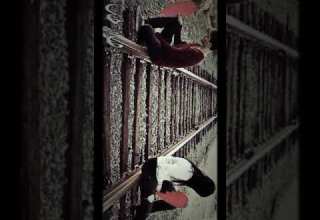 ماريد منكم اي شي اريد بس مشاركه حته نوصل شباب ليحب يساعد رقمي أسفل الشاشه