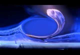 Serce I Rozum Fun Pack Kuba Wojewodzki Is Super Duper Reversed Low Pitched