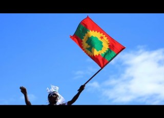 OROMIA11 Oduu 1 1 2026